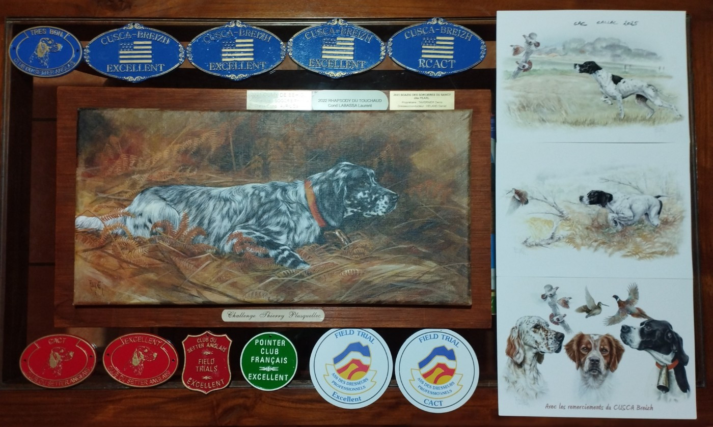 Résultats saison Bécasse 2025